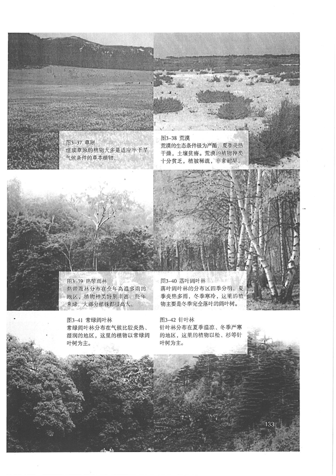人教版初中初一生物上册爱护植被,绿化祖国第2页