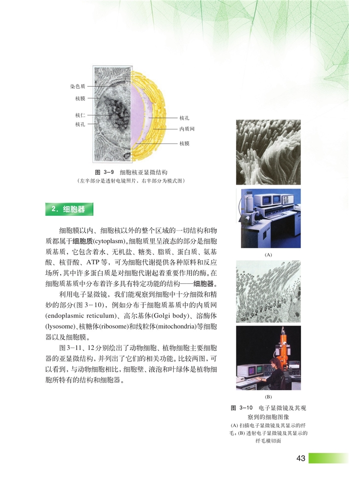 沪科版高中高一生命科学生命科学（第一册）生命结构基础第8页