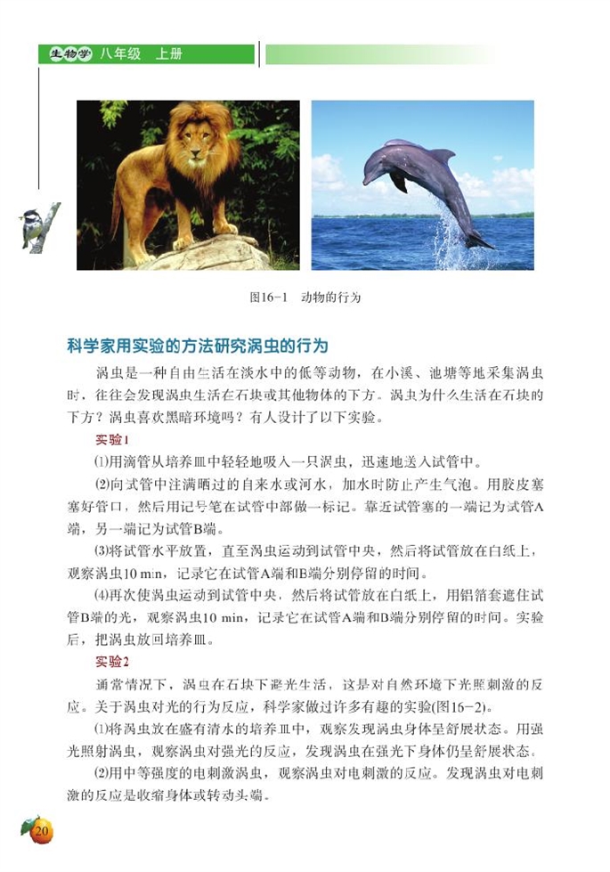 北师大版初中生物初二生物上册先天性行为和后天学习行为第2页