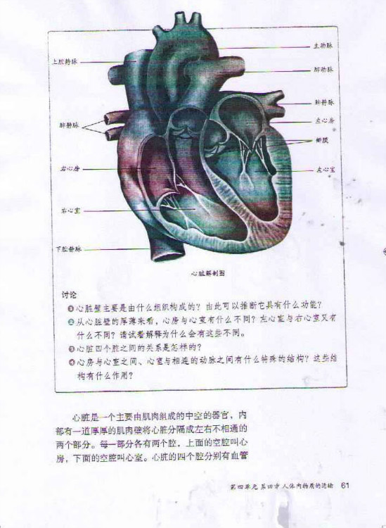 2012部编版七年级生物下册心脏的结构和功能第0页