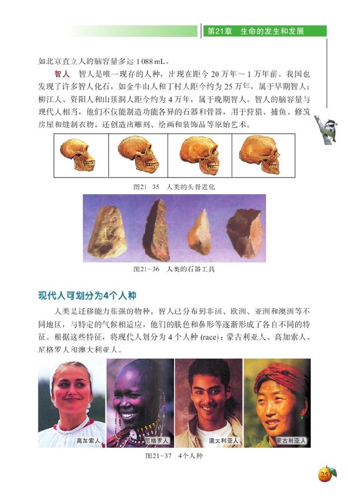 北师大版初中生物初二生物下册人类的起源与进化第6页