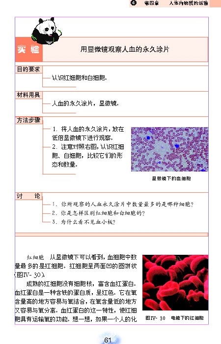 人教版初中初一生物下册流动的组织-血液第3页