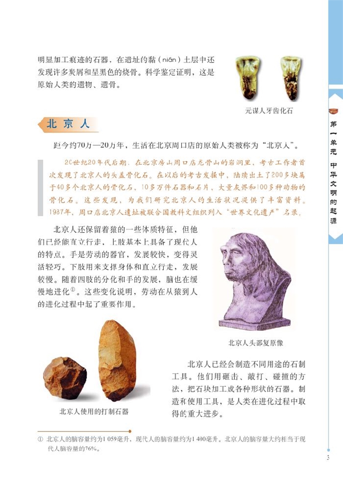 北师大版初中历史初一历史上册中华大地的远古人类第1页