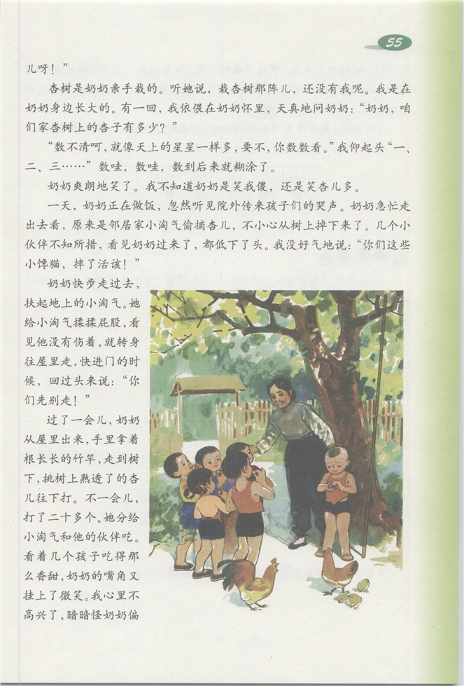 沪教版小学三年级语文下册杏儿熟了第1页