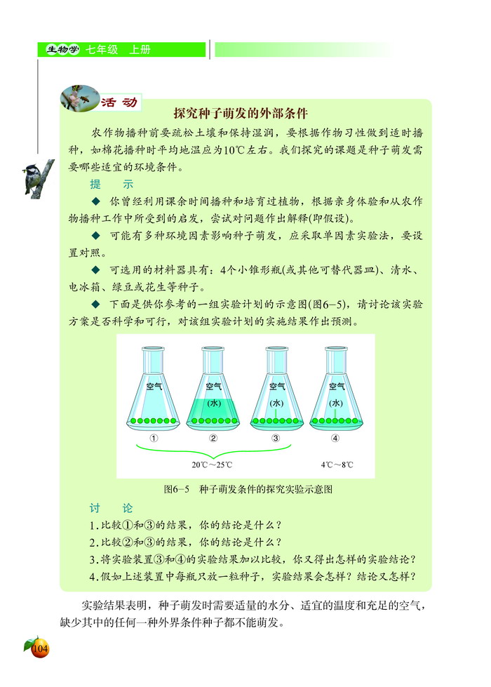 北师大版初中生物初一生物上册种子萌发形成幼苗第4页