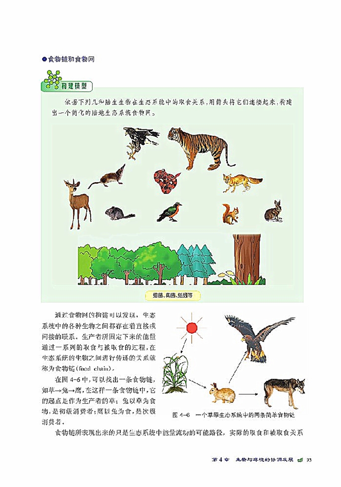 北师大版高中高二生物必修3生态系统是一个相对稳定的系统第3页
