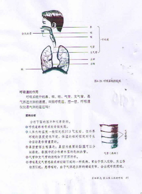2012部编版七年级生物下册呼吸系统的组成第0页