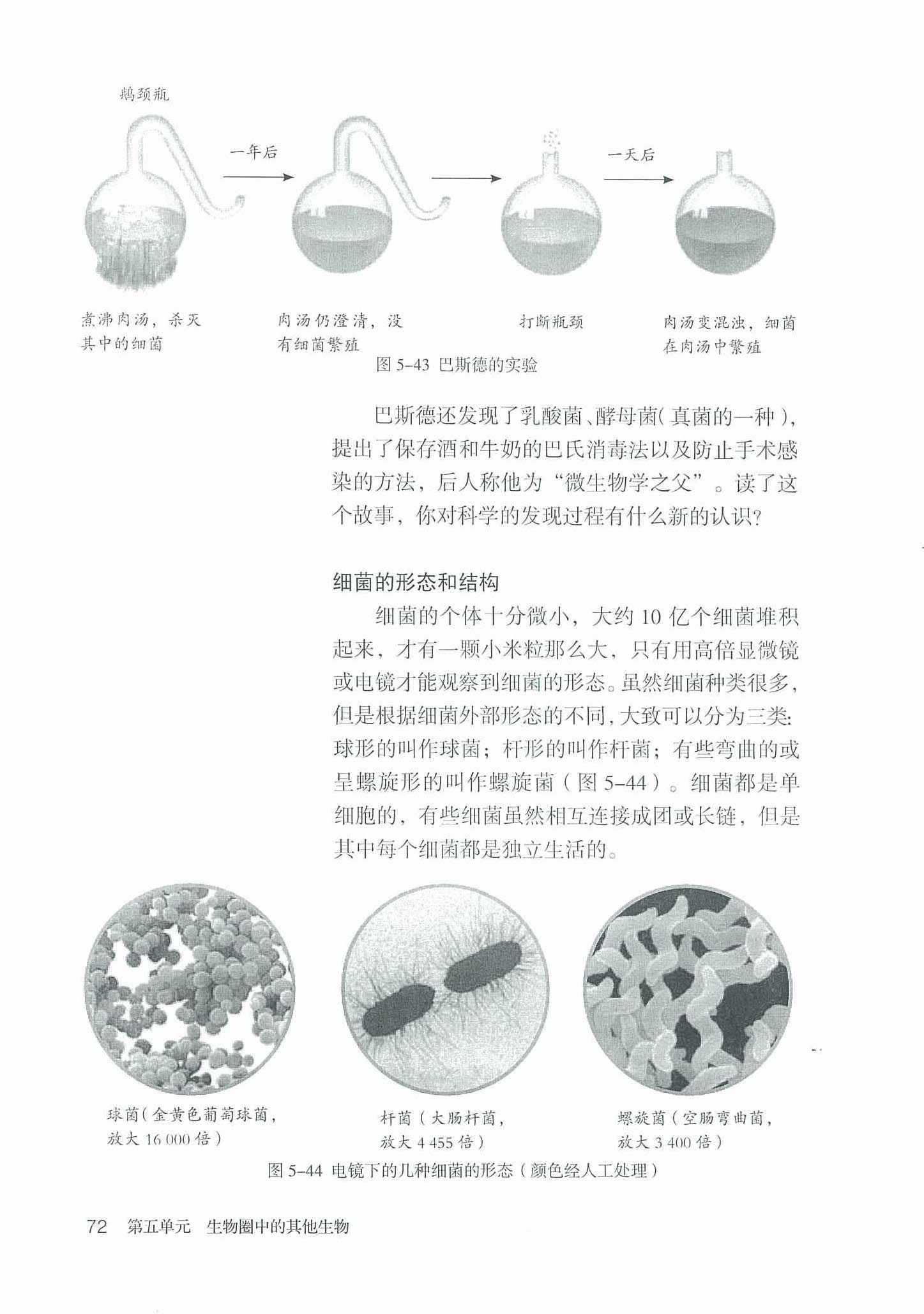 2013部编版八年级生物上册细菌的形态和结构第0页