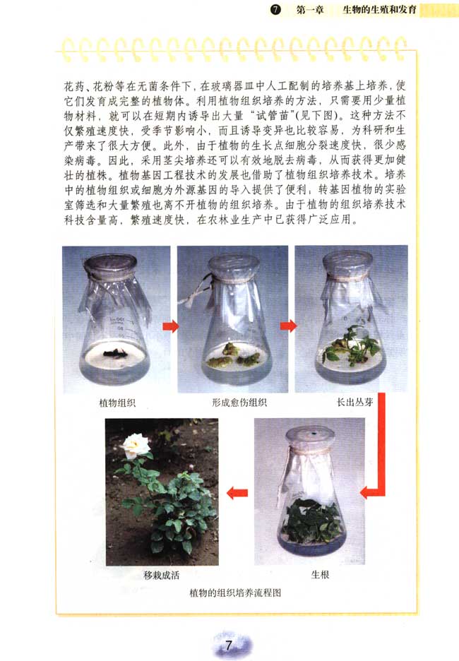 2013部编版八年级生物下册植物的组织培养第1页