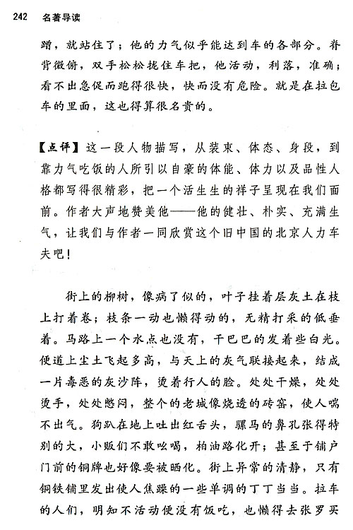 人教版八年级语文上册《骆驼祥子》：旧北京人力车夫的心酸故事第5页