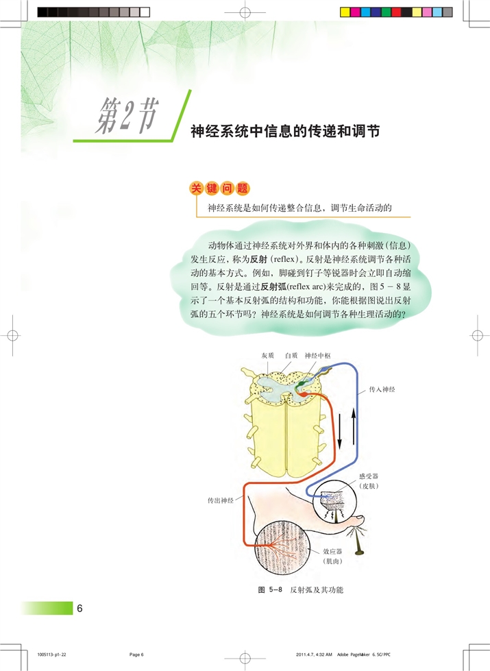 沪科版高中高二生命科学生命科学（第二册）神经系统中信息的传递和调节第0页