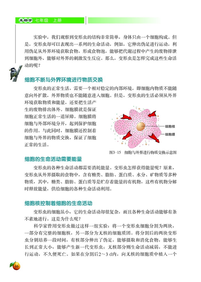 北师大版初中生物初一生物上册细胞是生命活动的单位第3页