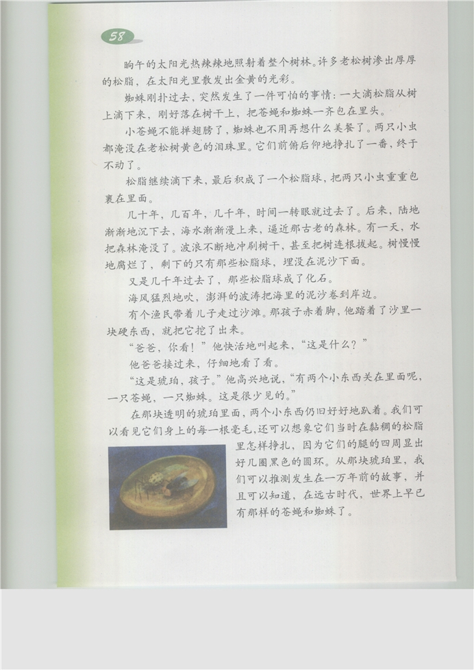 沪教版小学五年级语文上册第四单元第0页