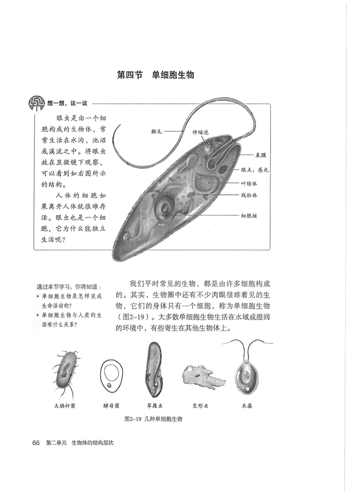 人教版初中初一生物上册单细胞生物第0页
