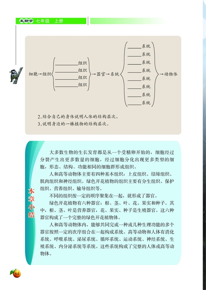 北师大版初中生物初一生物上册生物体的器官、系统第4页