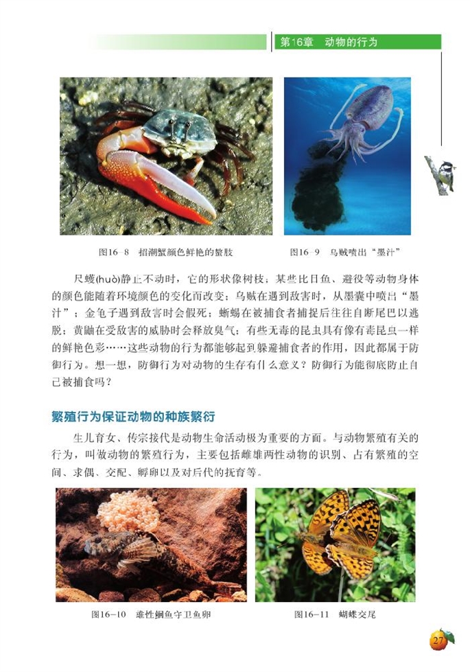 北师大版初中生物初二生物上册动物行为的主要类型第3页