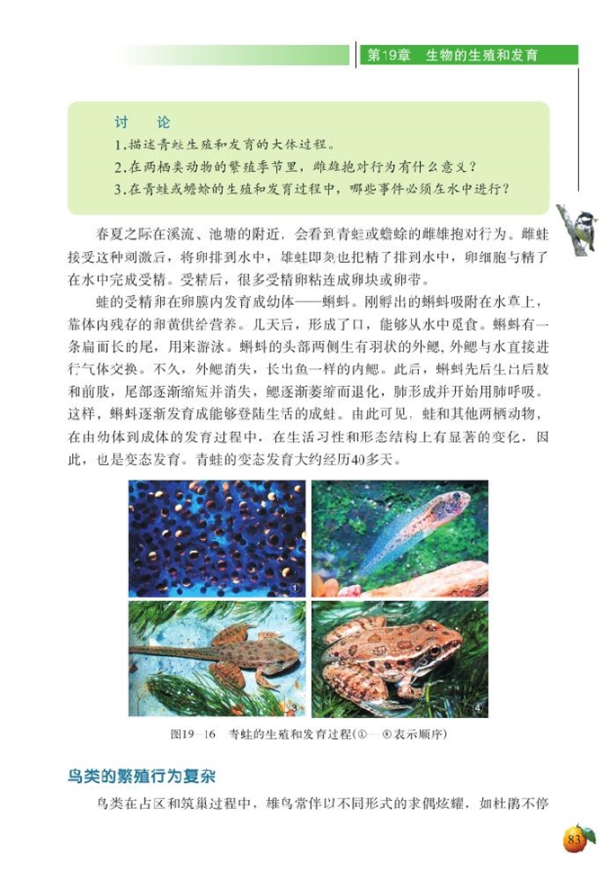 北师大版初中生物初二生物上册动物的生殖和发育第7页