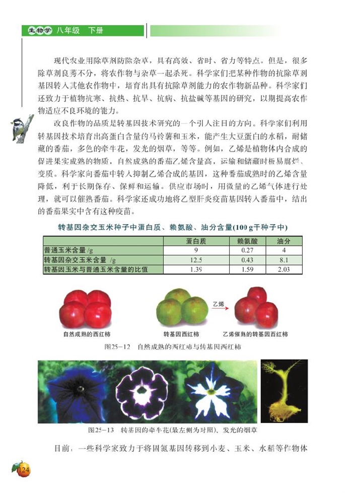 北师大版初中生物初二生物下册现代生物技术第4页