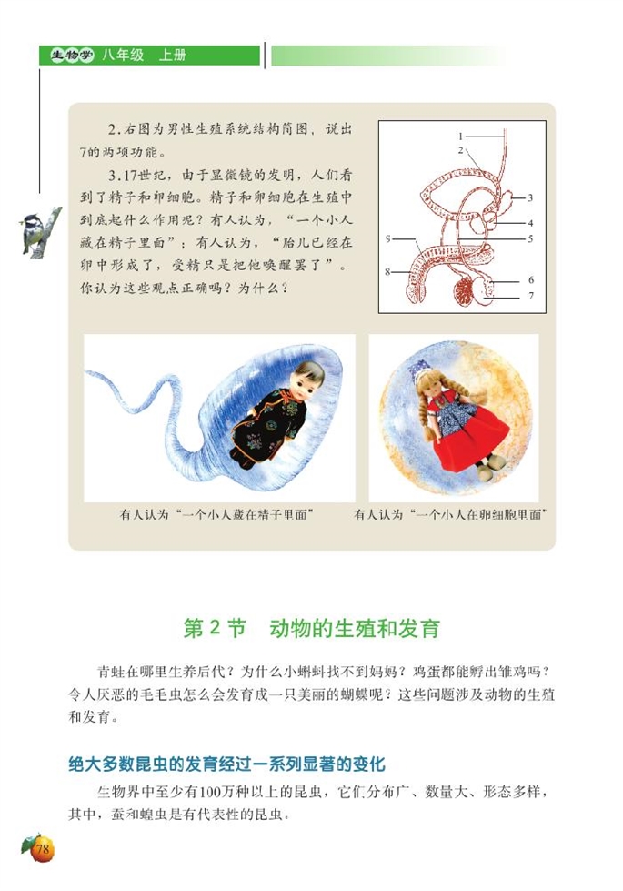 北师大版初中生物初二生物上册动物的生殖和发育第0页