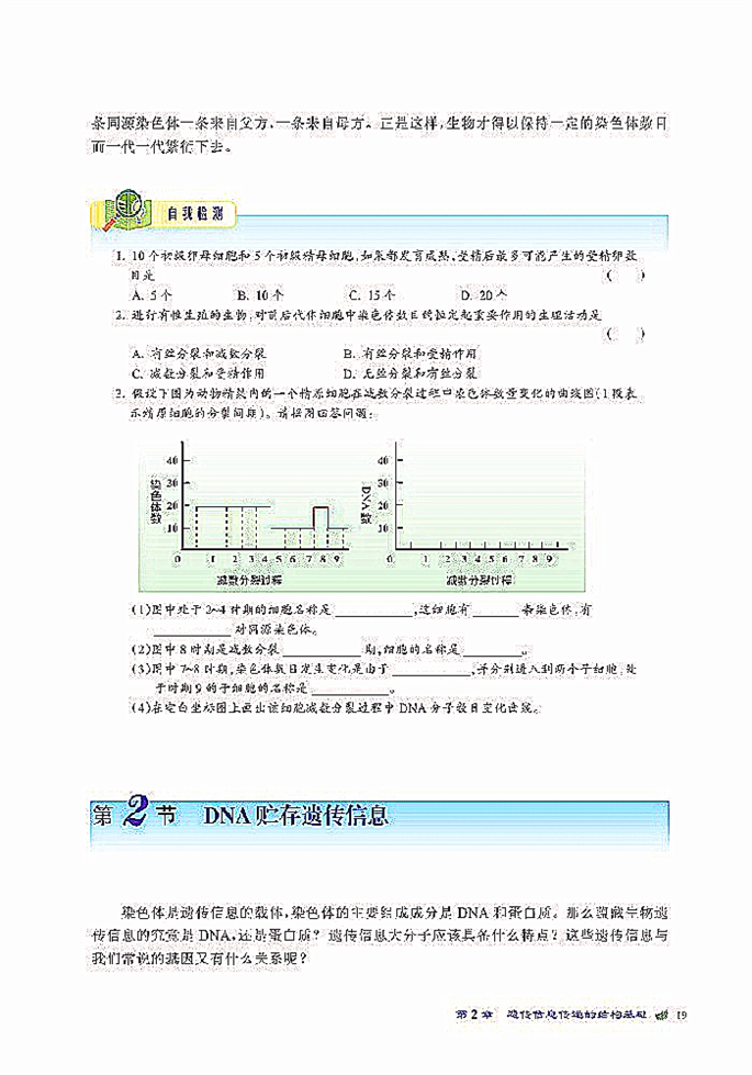 北师大版高中高一生物必修2染色体是遗传信息的载体第10页