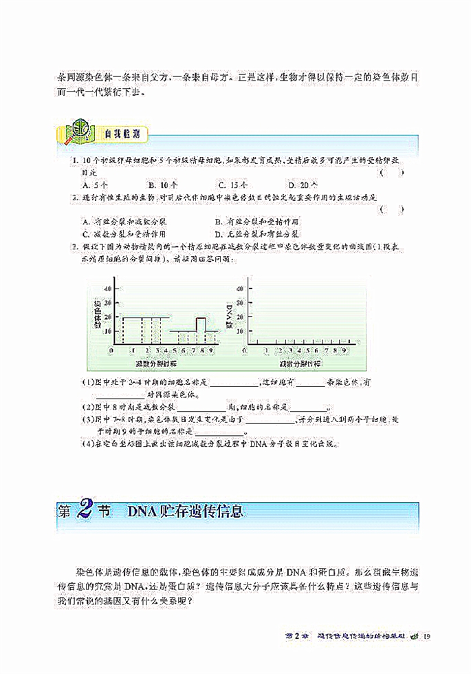 北师大版高中高一生物必修2DNA贮存遗传信息第0页