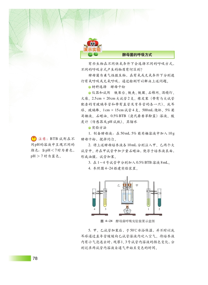 沪科版高中高一生命科学生命科学（第一册）细胞的呼吸第1页