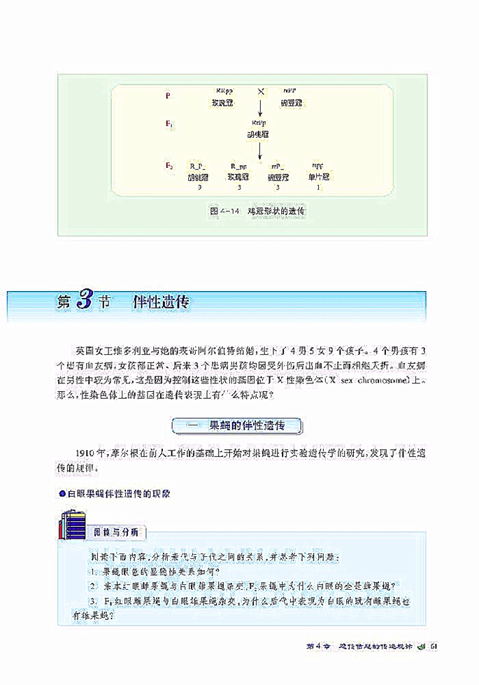 北师大版高中高一生物必修2伴性遗传第0页