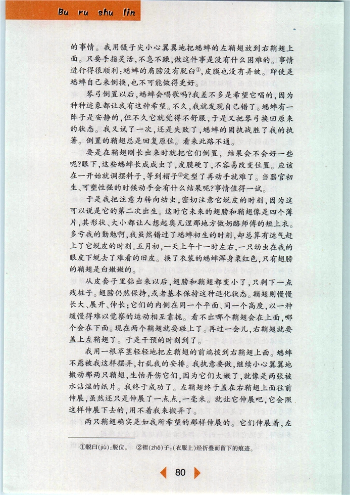 沪教版初中初一语文下册《昆虫记》译本前言第4页