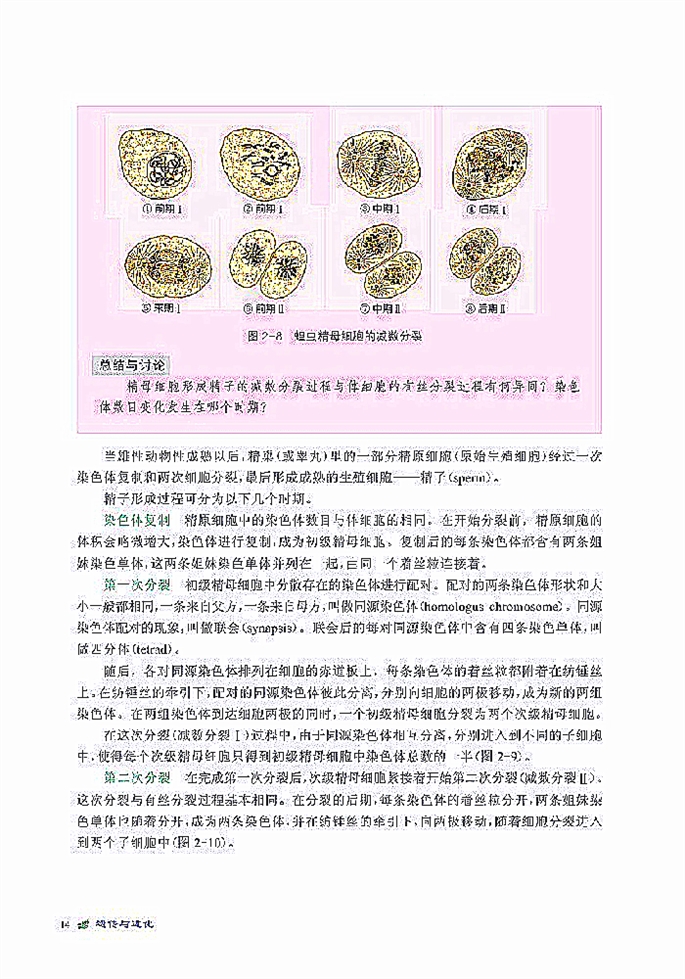 北师大版高中高一生物必修2染色体是遗传信息的载体第5页