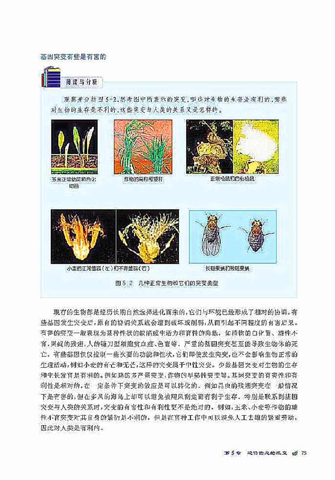 北师大版高中高一生物必修2基因突变第1页