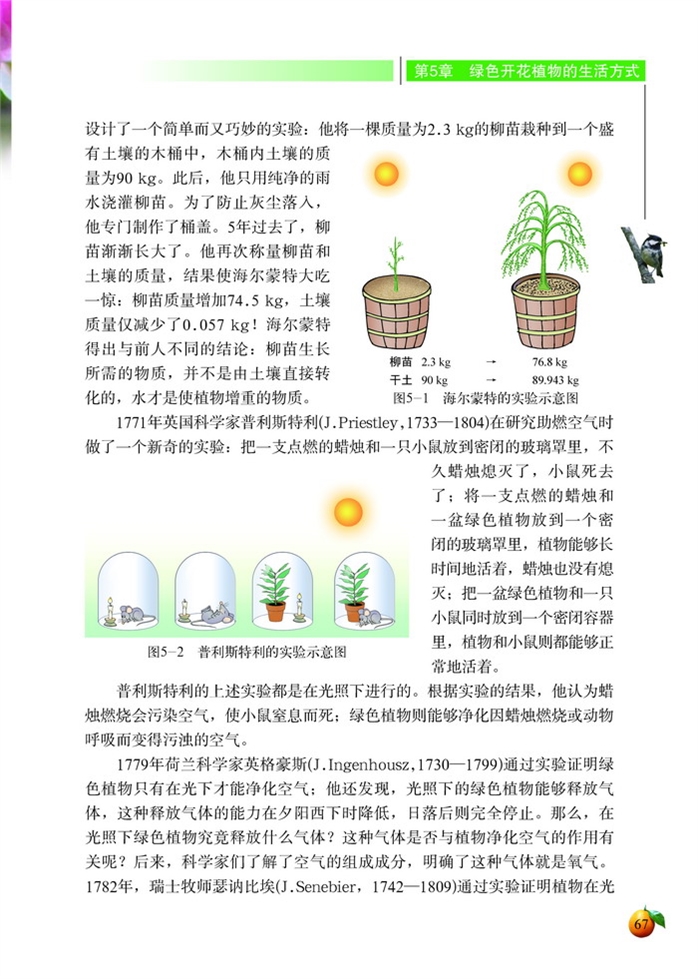 北师大版初中生物初一生物上册绿色开花植物的生活方…第2页
