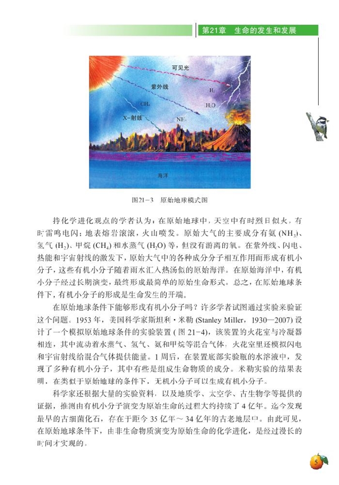 北师大版初中生物初二生物下册生命的发生和发展第4页