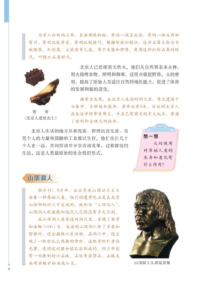 北师大版初中历史初一历史上册中华大地的远古人类第2页