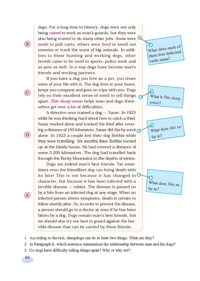 新世纪版高中高一英语上册Module thr…第3页