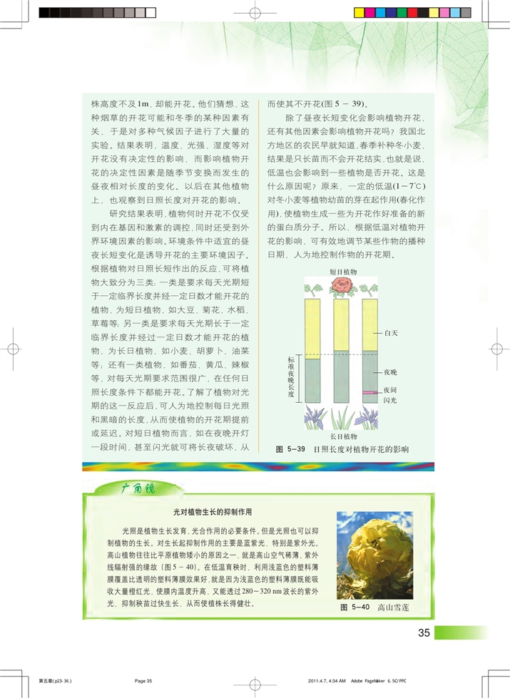 沪科版高中高二生命科学生命科学（第二册）植物生长发育的调节第6页