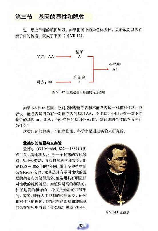 人教版初中初二生物下册基因的显性和隐性第0页