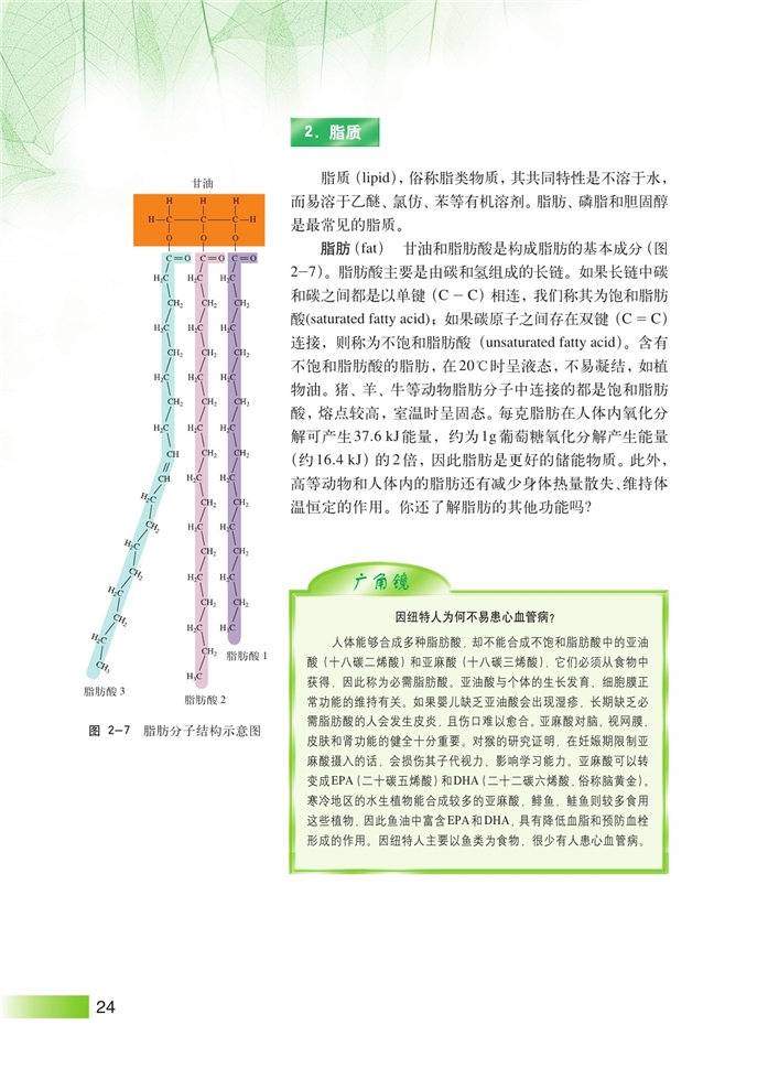 沪科版高中高一生命科学生命科学（第一册）生物体中的有机化合物第4页