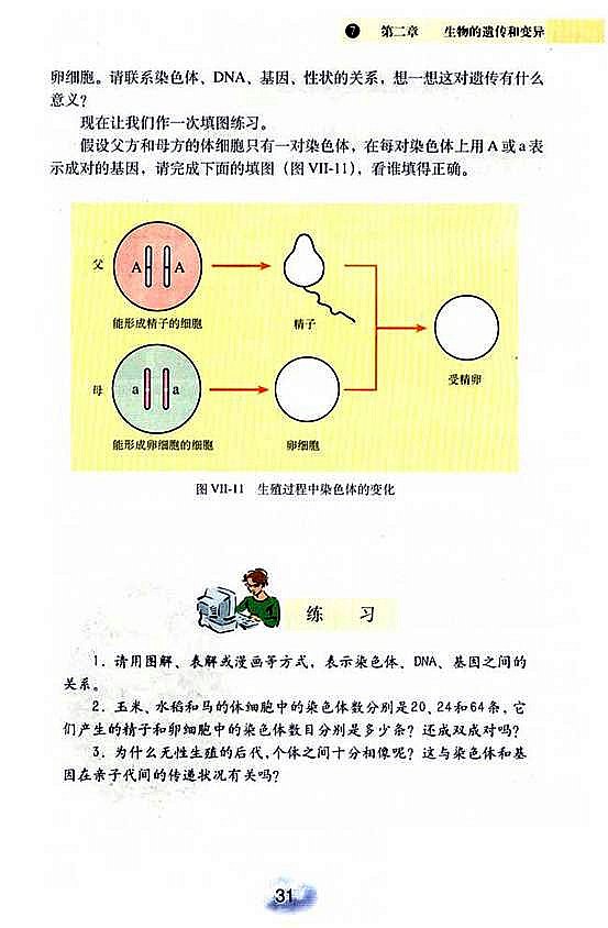 人教版初中初二生物下册基因在亲子间的传递第3页