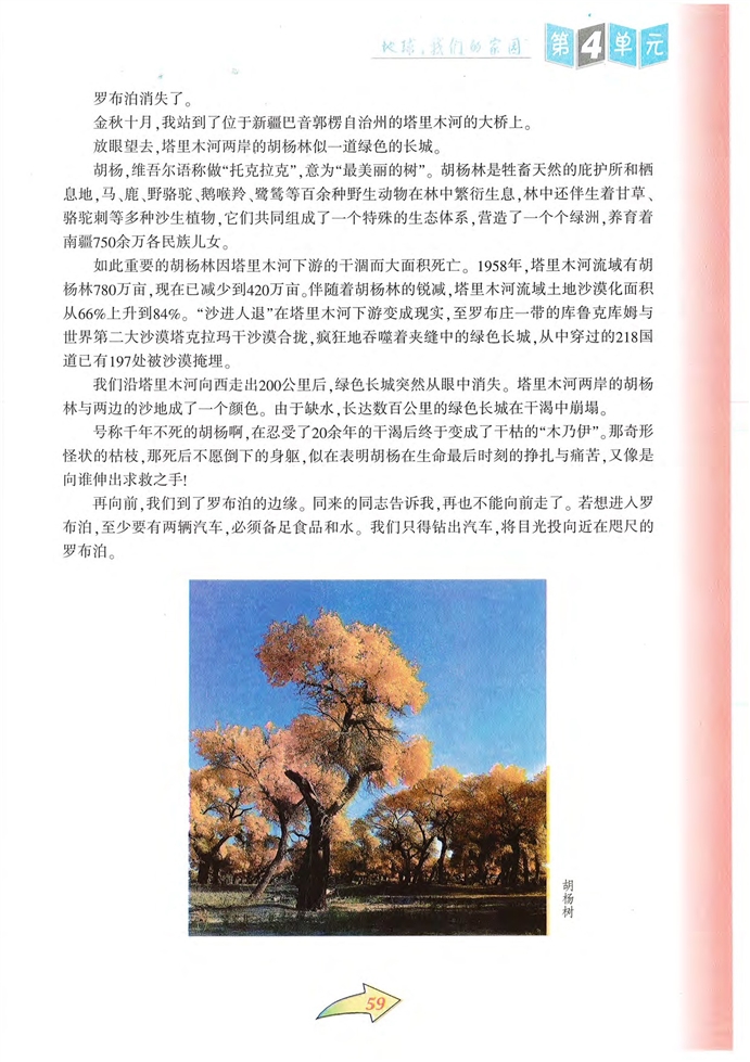 沪教版初中初二语文上册陈毅市长第3页