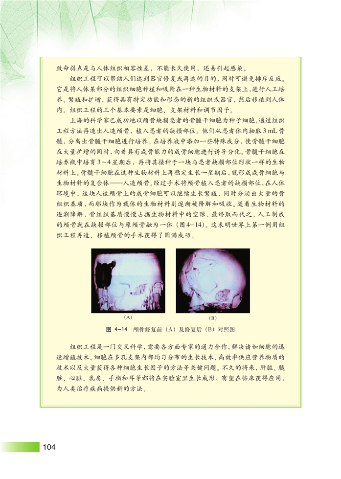 沪科版高中高三生命科学生命科学(拓展)细胞工程第9页