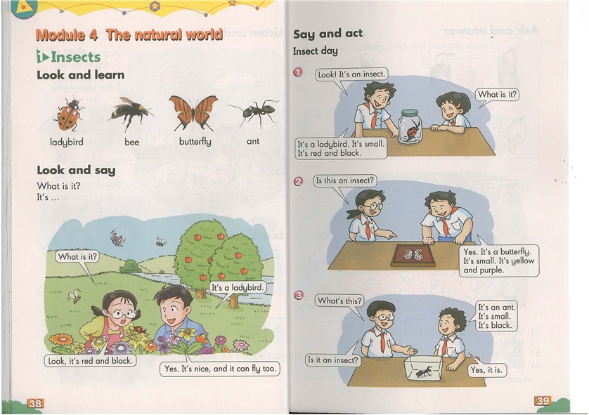 沪教版小学三年级英语上册（牛津版）module 4 t…第0页