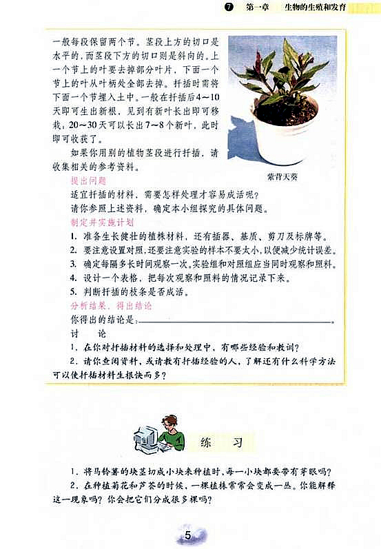 人教版初中初二生物下册植物的生殖第4页