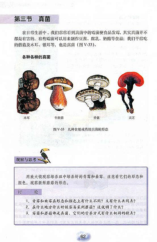 人教版初中初二生物上册真菌第0页