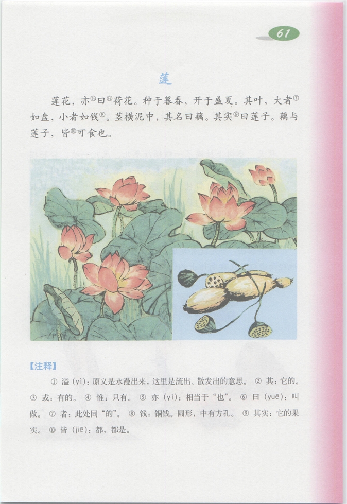 沪教版小学四年级语文上册14 连续观察日记第121页