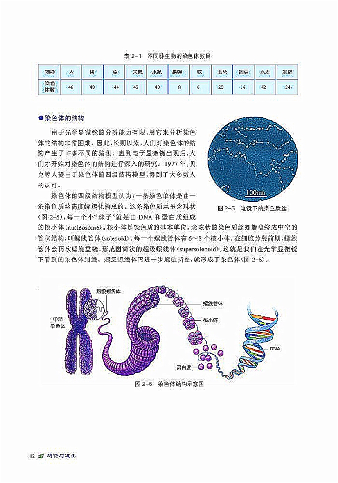 北师大版高中高一生物必修2染色体是遗传信息的载体第3页