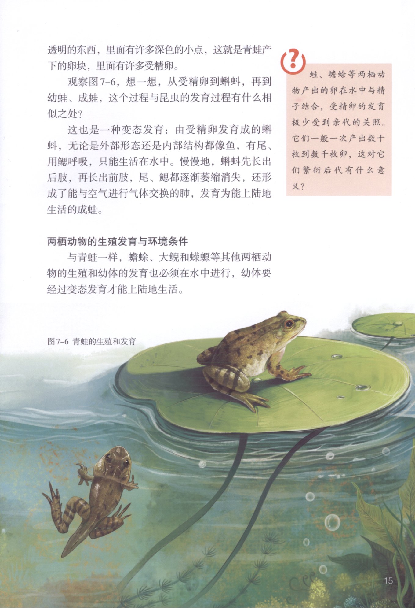 2013部编版八年级生物下册两栖动物的生殖发育与环境条件第0页