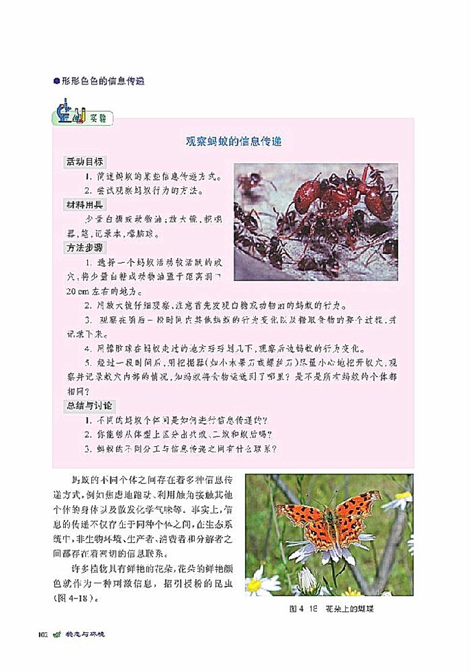 北师大版高中高二生物必修3生态系统是一个相对稳定的系统第12页