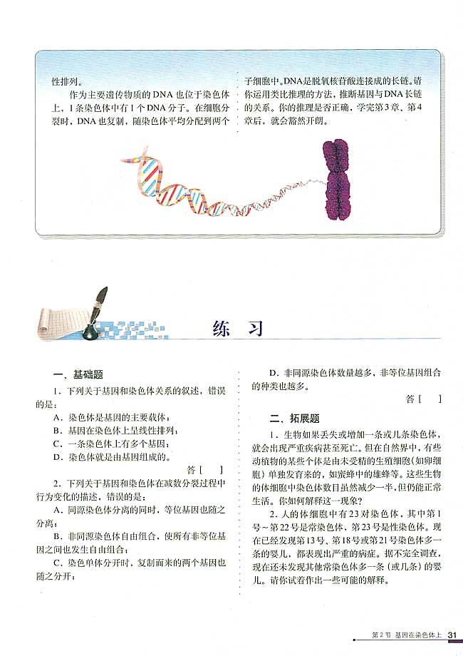 人教版高中高二生物必修2基因在染色体上第4页