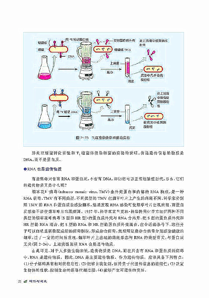 北师大版高中高一生物必修2DNA贮存遗传信息第3页