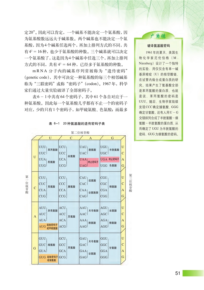 沪科版高中高二生命科学生命科学（第二册）DNA复制和蛋白质合成第4页